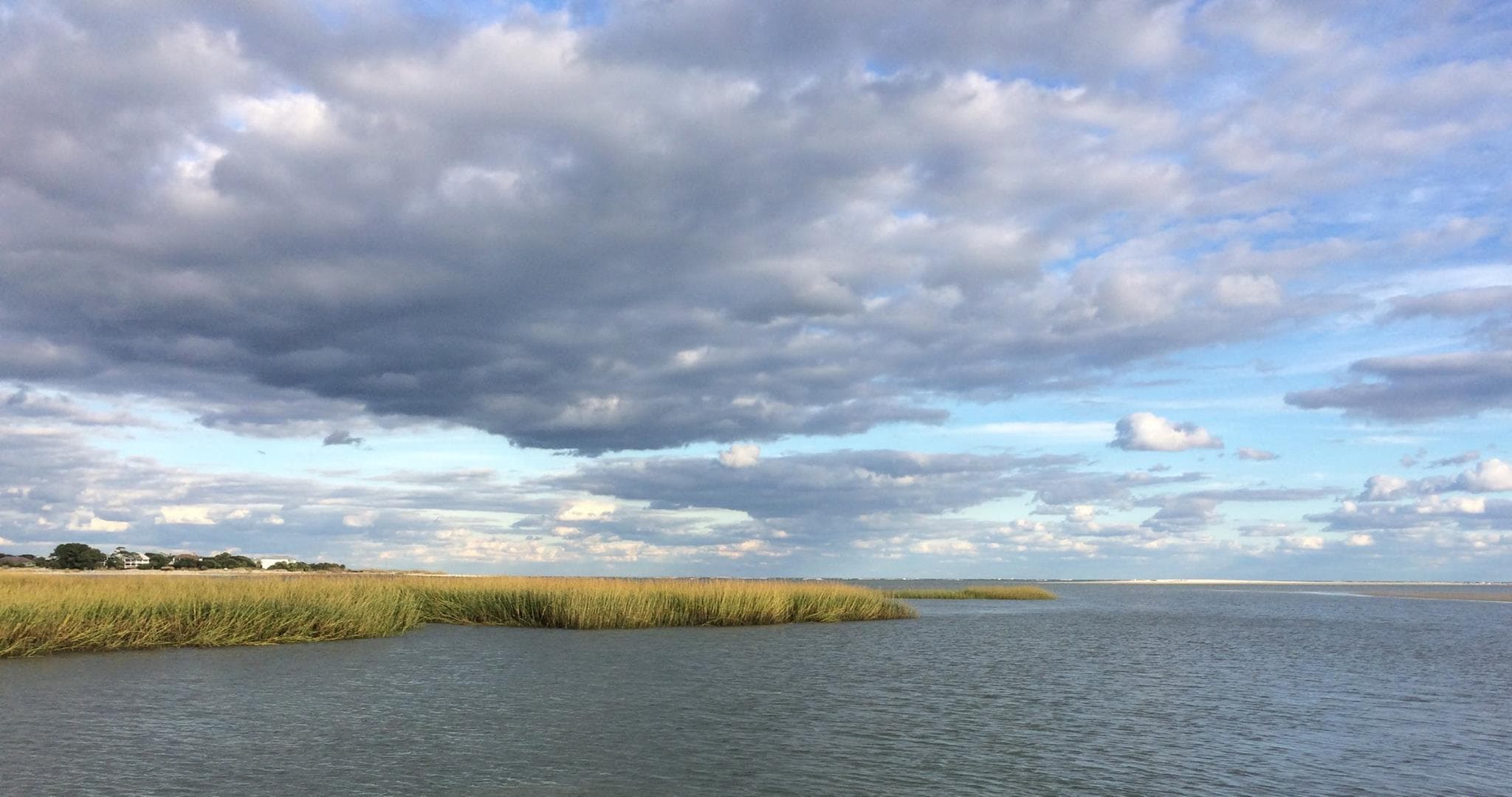 Little Tybee Dolphin Encounter: 90-Minute Bottlenose Tour from Tybee Island