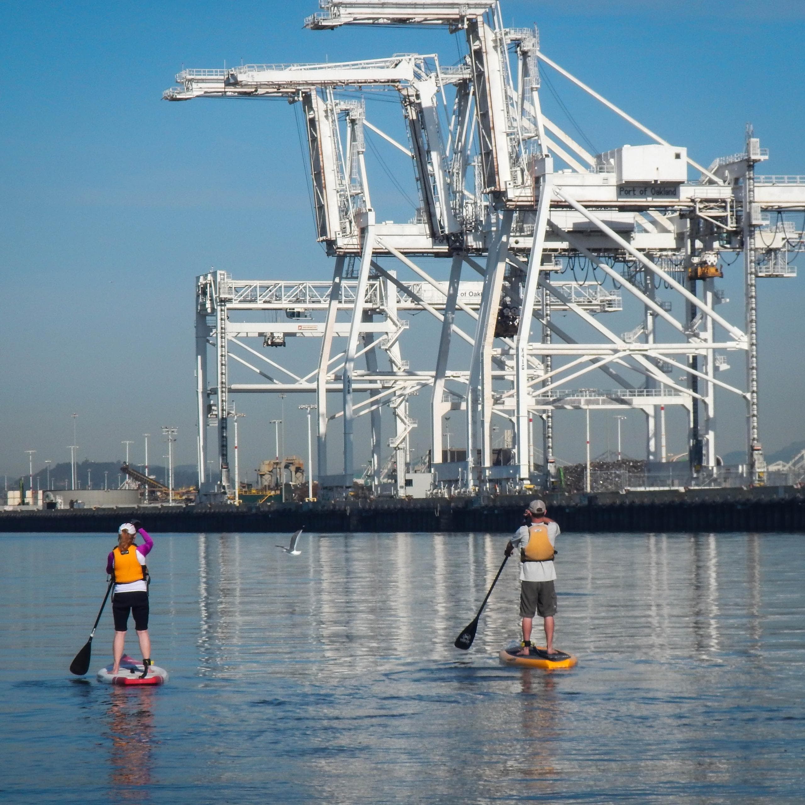 Explore Oakland Estuary: 1-Hour Kayak & Paddleboard Rentals at Jack London Square
