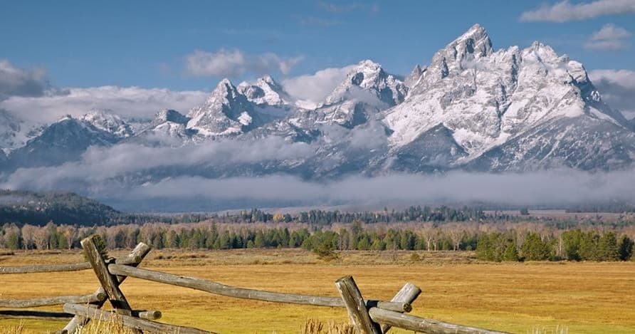 Wildlife & Mountain Views: Grand Teton Safari with Grizzly Country Wildlife Adventures
