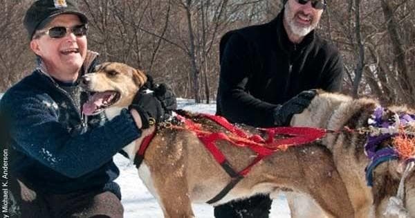 Winter Dog Sledding with Positive Energy Outdoors
