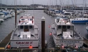 Two charter boats docked at Yaquina Bay marina, scenic harbor