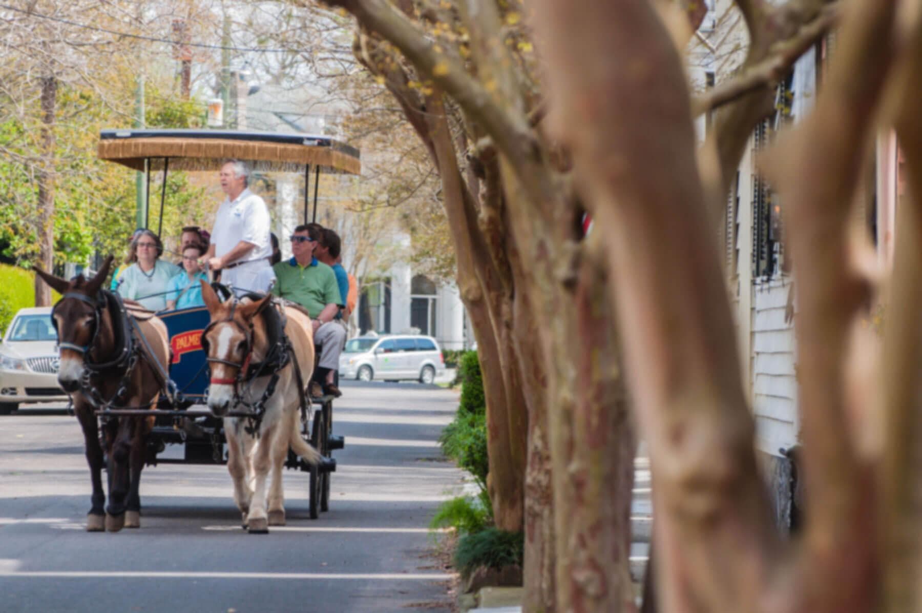 Explore Charleston’s Edmondston-Alston House: Historic Home with Stunning Harbor Views