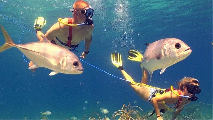 Snuba Adventure at Coki Point, St. Thomas