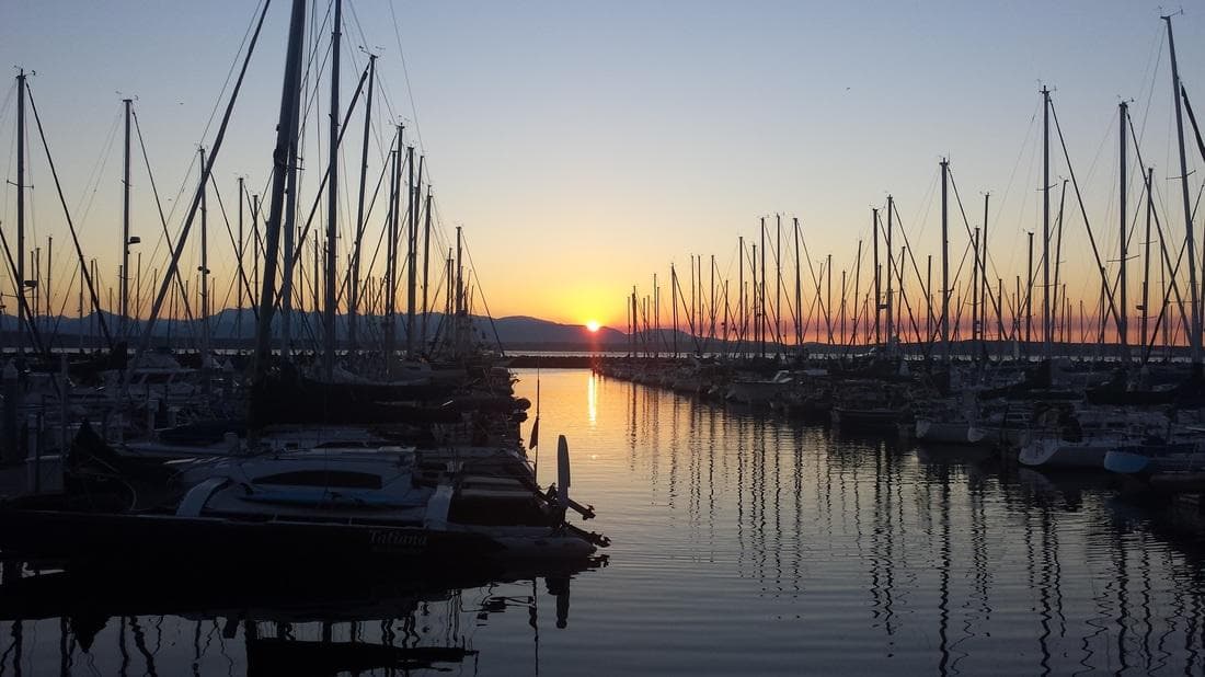 Sunset marina lined with sail masts framing serene harbor views