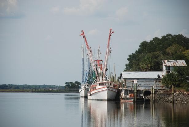 Historic Golf Cart Tours with Beaufort Tours in SC