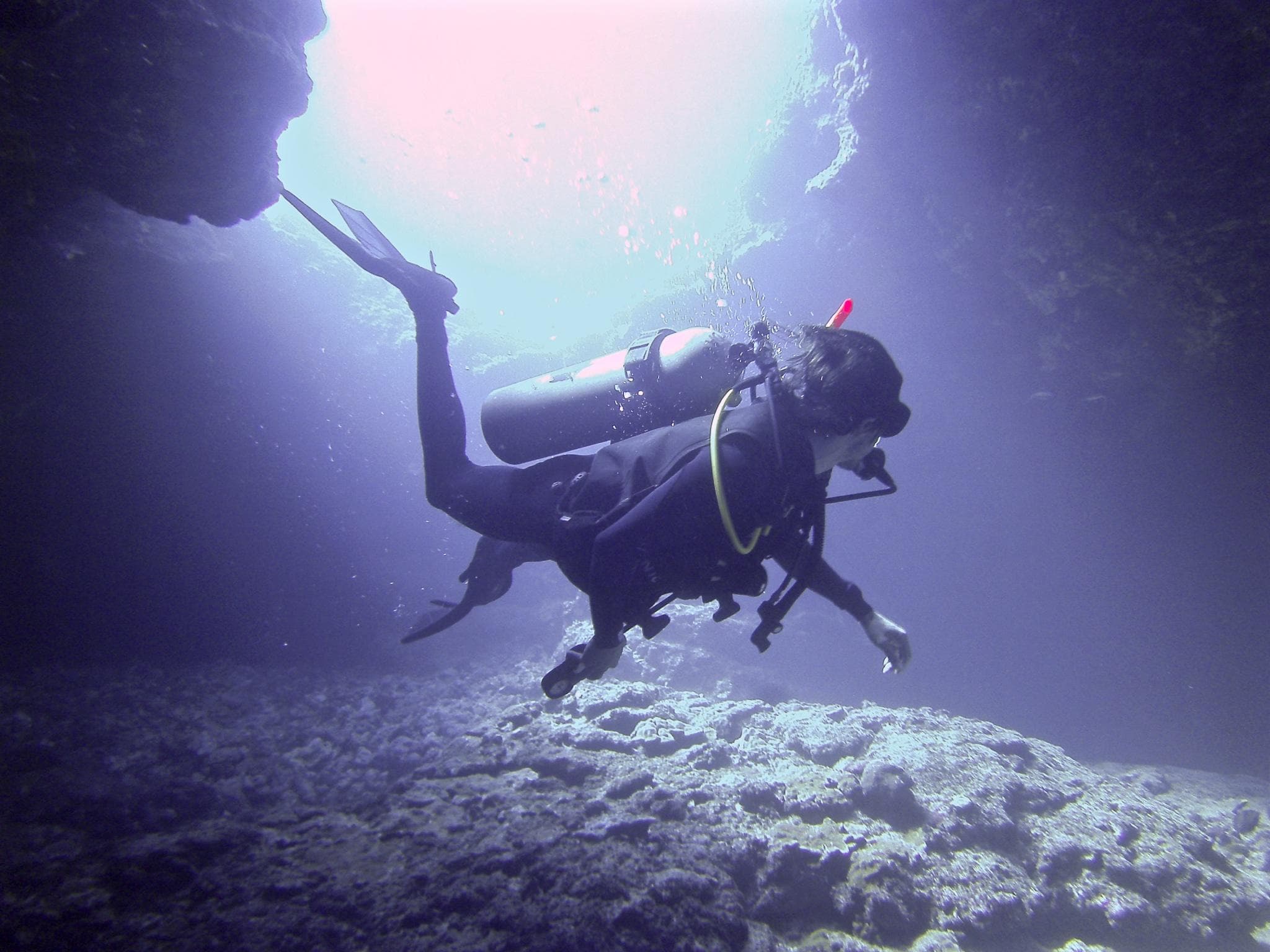 Scuba diver and sea turtle silhouette in Hawaii clear waters