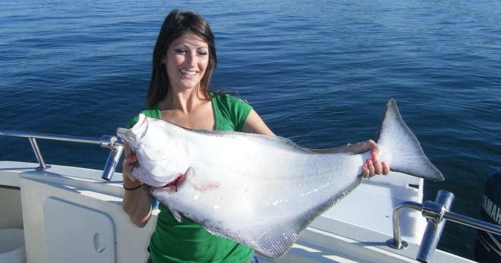 Juneau Charters fleet