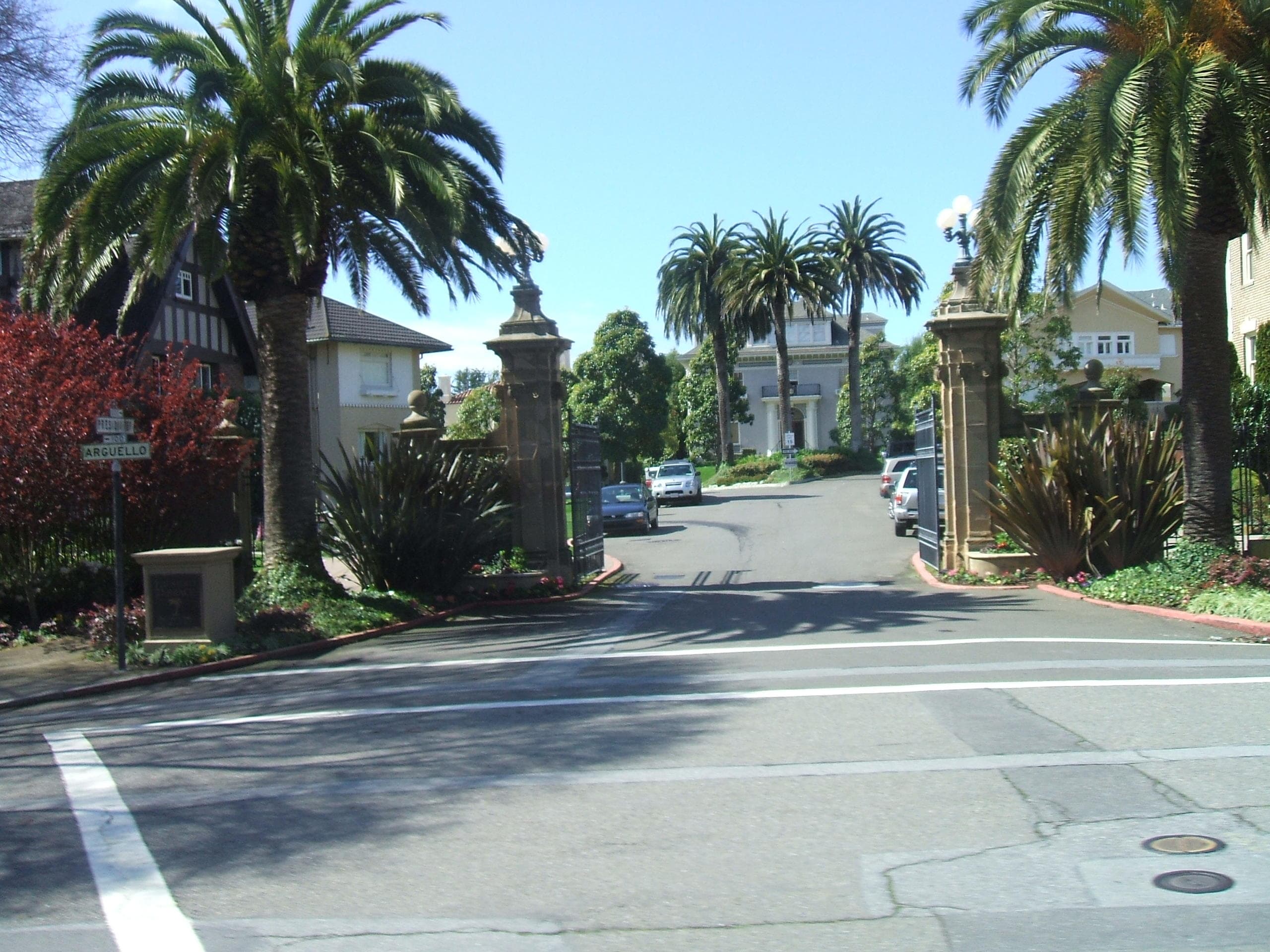 Palms-lined residential street entrance, scenic San Francisco drive