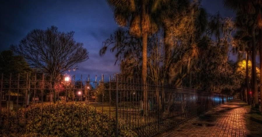 Twilight park pathway lined with oaks on haunted night walk