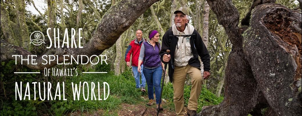 Experience the Kohala Waterfalls Adventure: Private Ohana Outing in North Kohala, Hawaii