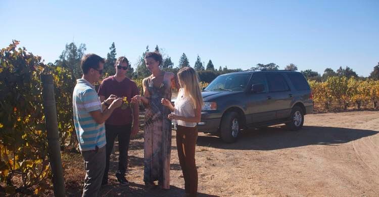 Small group tasting wine among sunny vineyard rows outdoors