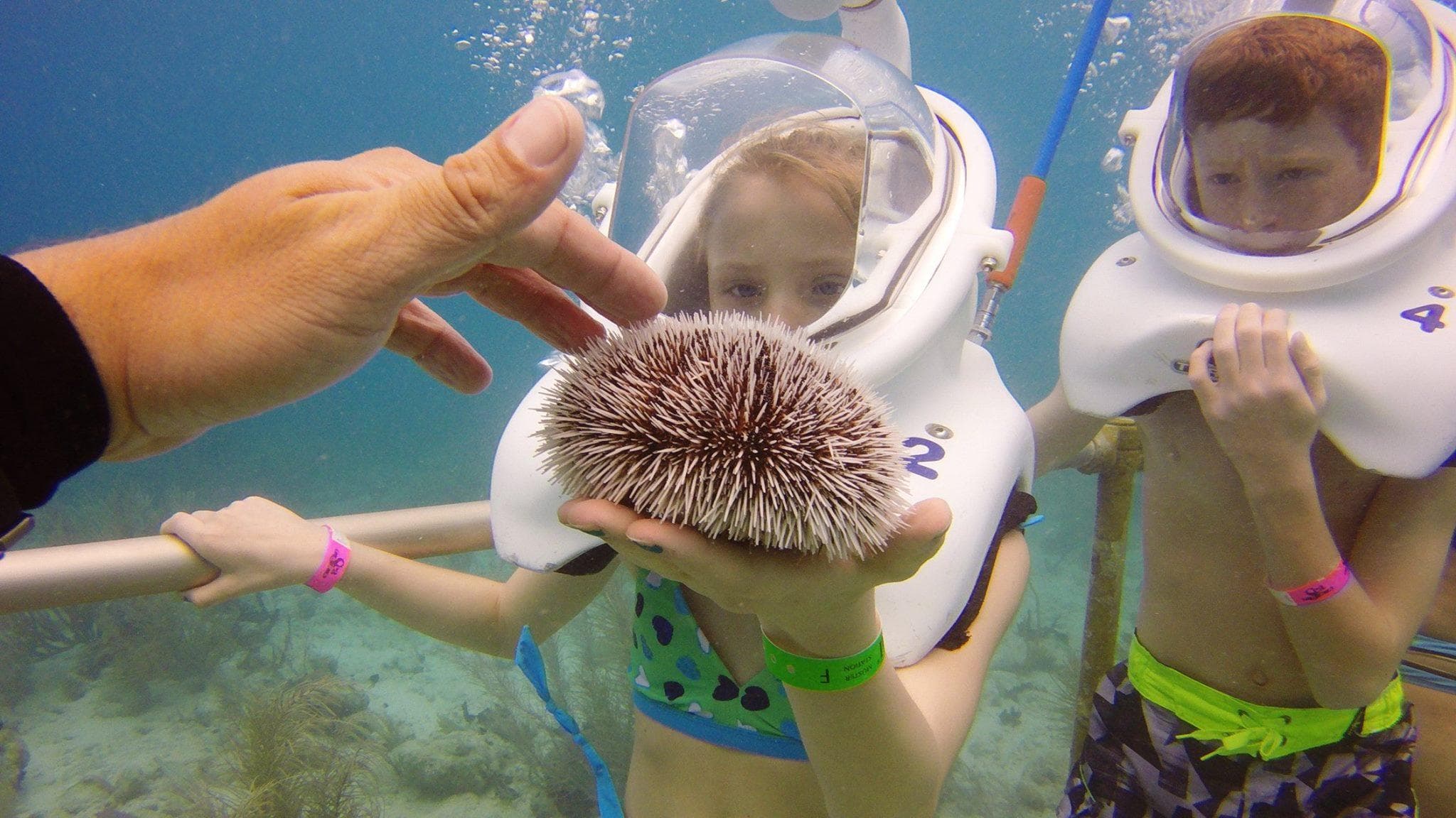 Sea Trek Adventure at Coki Point, St. Thomas