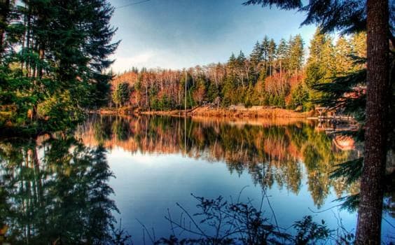 Calm reflective forest lake panorama at sunrise scenic wilderness