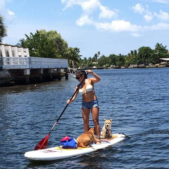 Multi-Day SUP Rentals in Fort Lauderdale, Florida