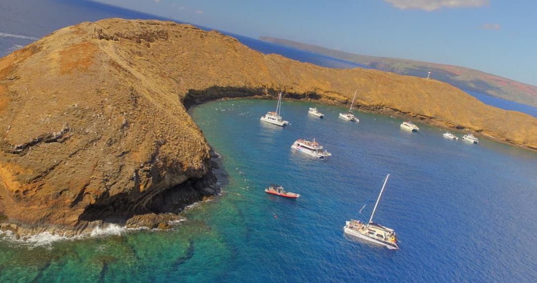 Private Ash Scattering and Whale Watch Aboard Maui’s Reef Explorer