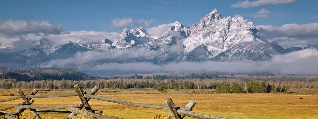 Grizzly Country Wildlife Adventures team