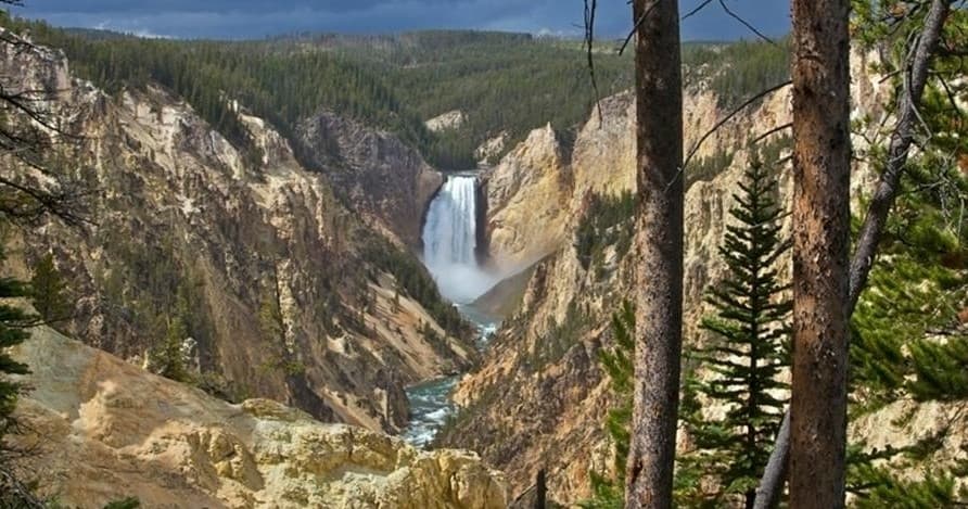 Explore Yellowstone’s Lower Loop: Wildlife, Waterfalls, and Scenic Vistas