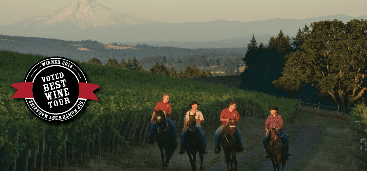 Horseback Wine Tasting in Dundee with Equestrian Wine Tours