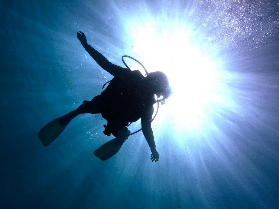 Scuba diver silhouetted against sunbeams over ocean