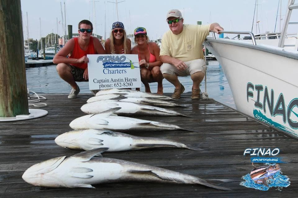 Charter catch lined on marina dock showing multiple fish
