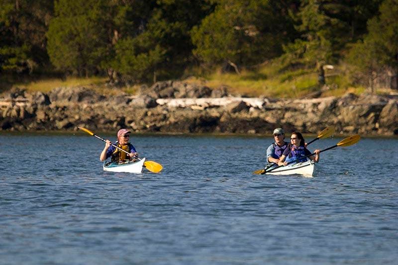 Kayak Adventures with Shearwater Adventures in Deer Harbor