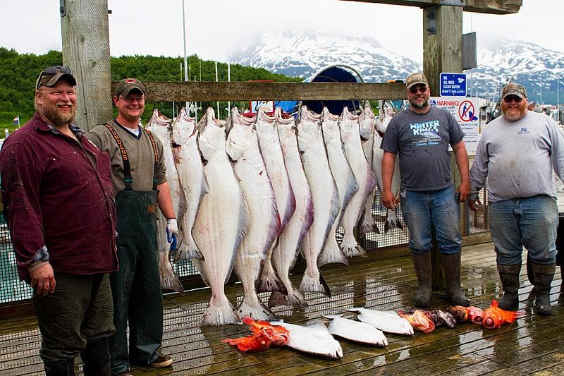 Kayak Adventures on Hood Canal with Hood Canal Adventures