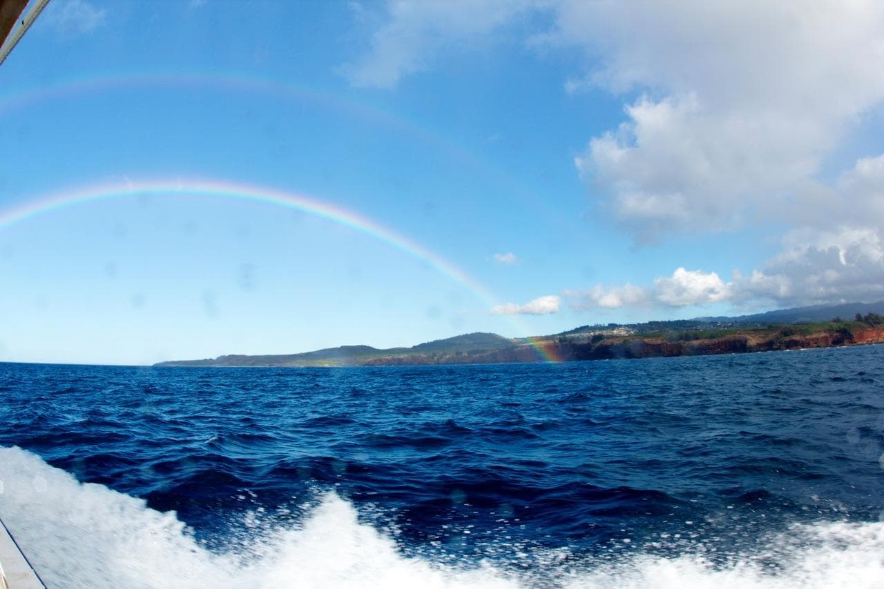 Explore Kauai’s Best Dive Sites on a 3-Tank Boat Dive Adventure