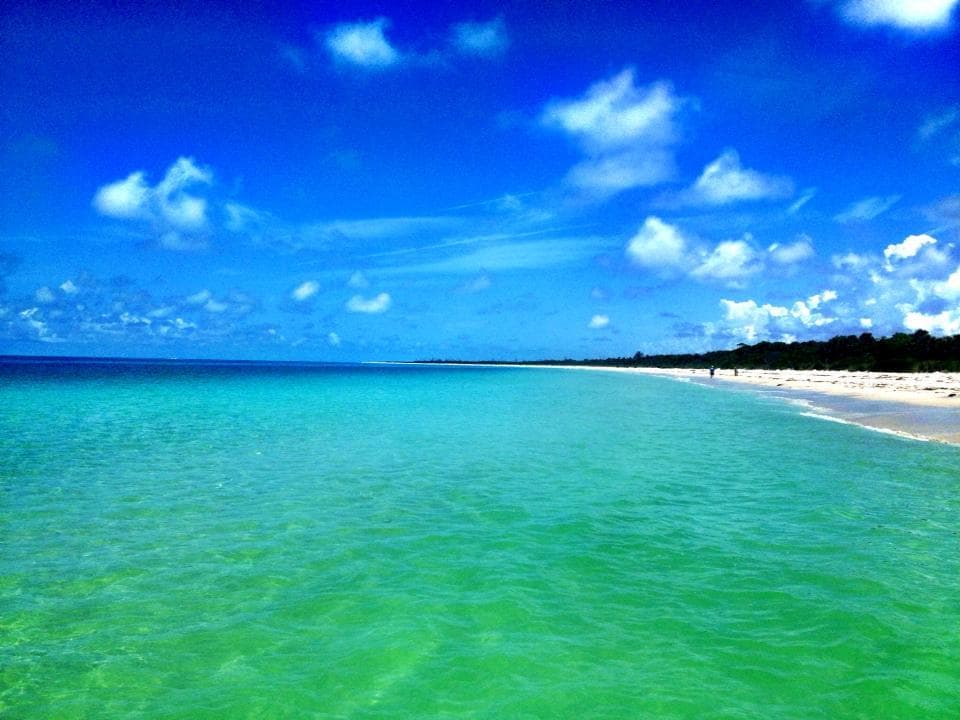 Water Activities at Endless Summer Charters in S.W. Florida