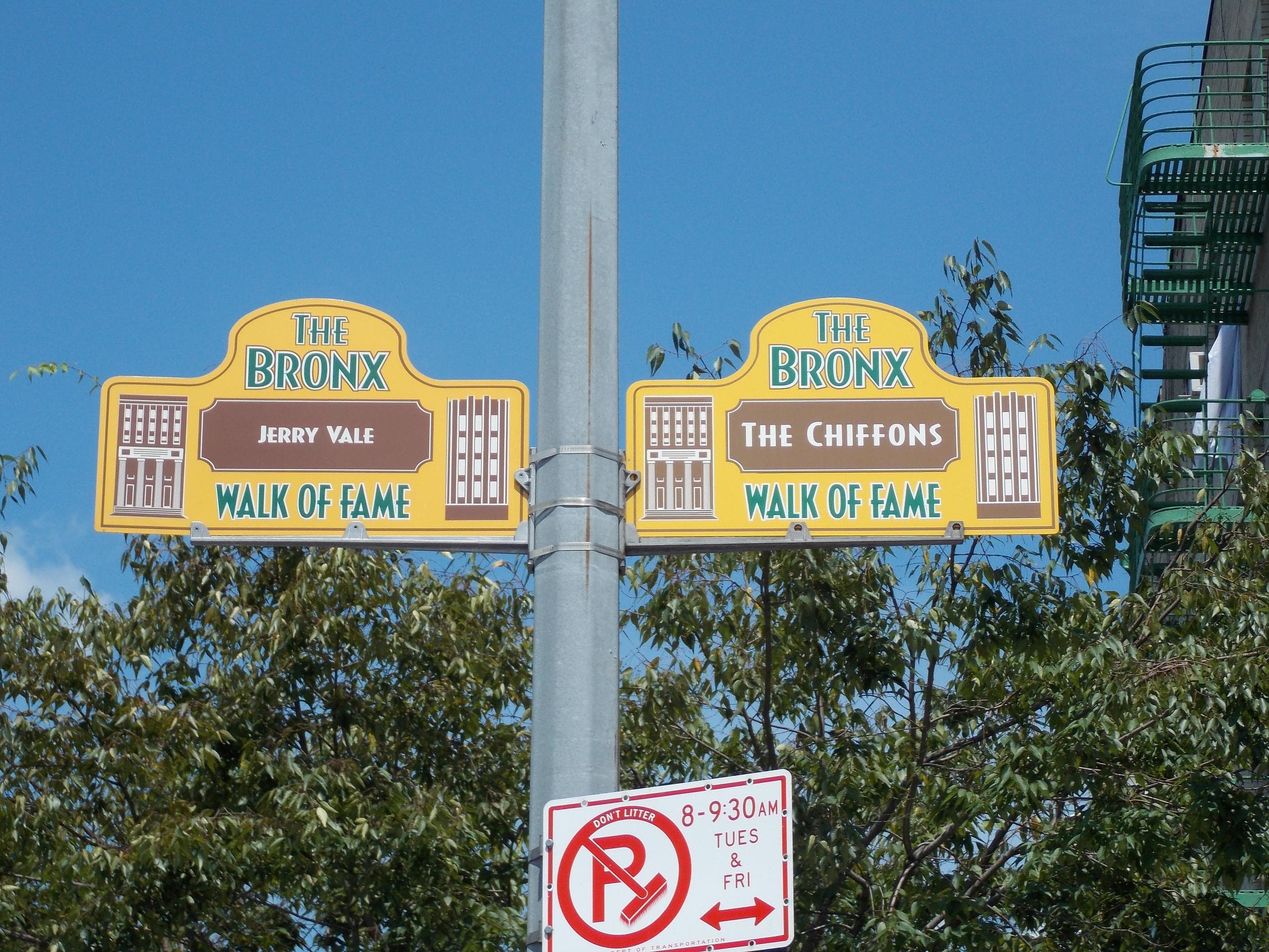 Exploring the South Bronx: A Cultural Walking Tour Into History and Transformation