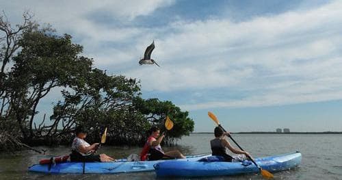 Kayaking Adventure at Adventures Kayaking: Hidden Beach Day Trip
