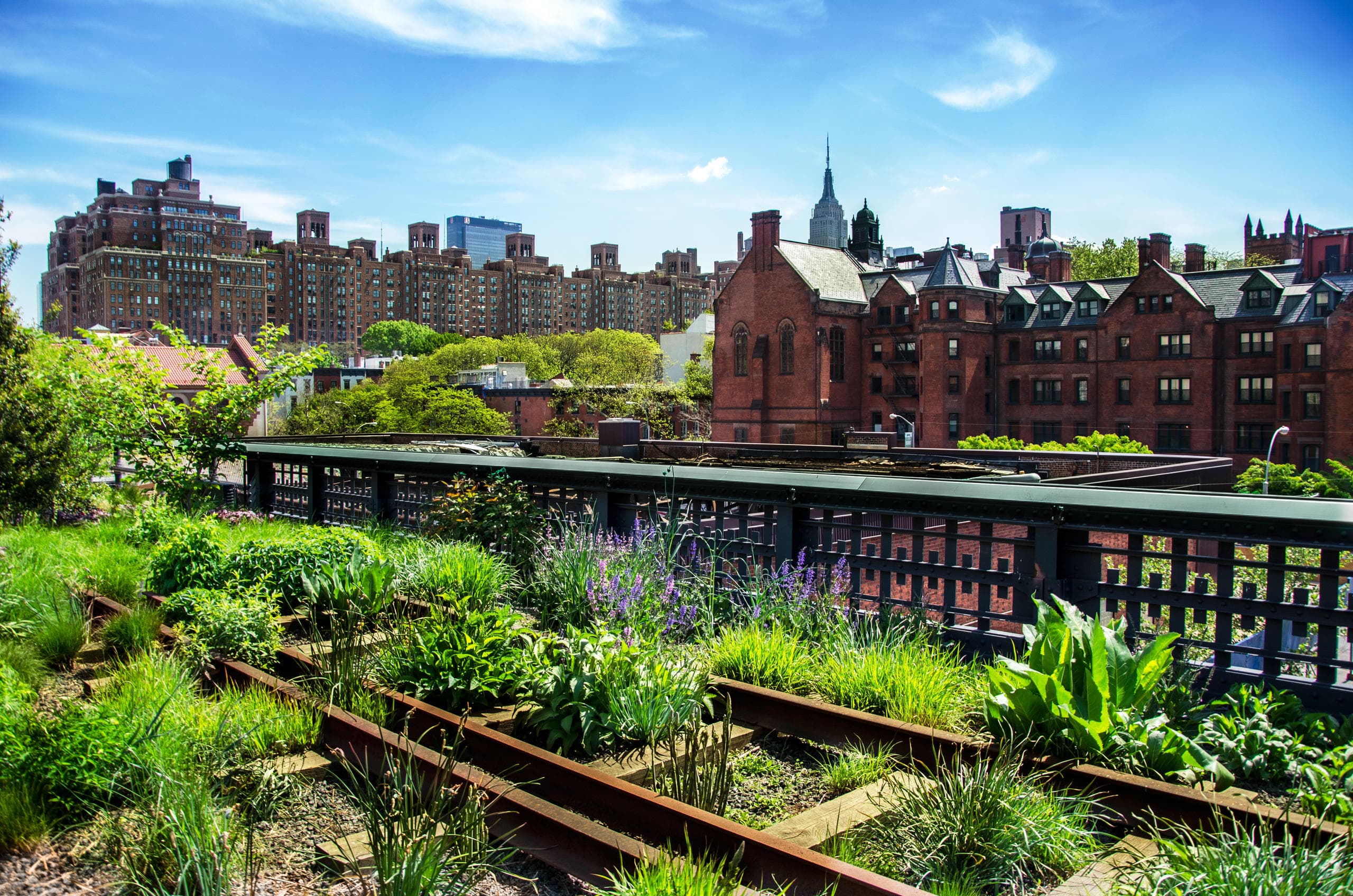 Land Adventure: TopDogTours NYC Meatpacking & Highline Experience
