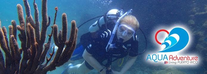 Scuba diver exploring coral reef in tropical Caribbean waters