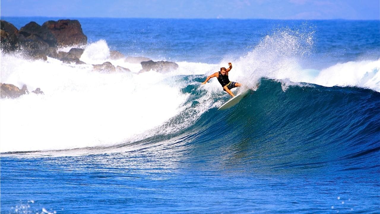 Royal Hawaiian Surf Academy fleet