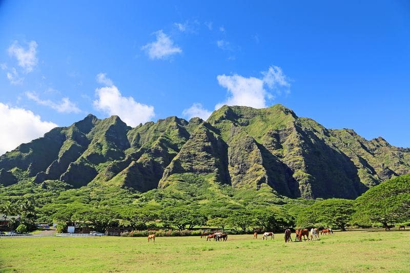 Lush jagged mountain ridge under blue sky on Oahu island