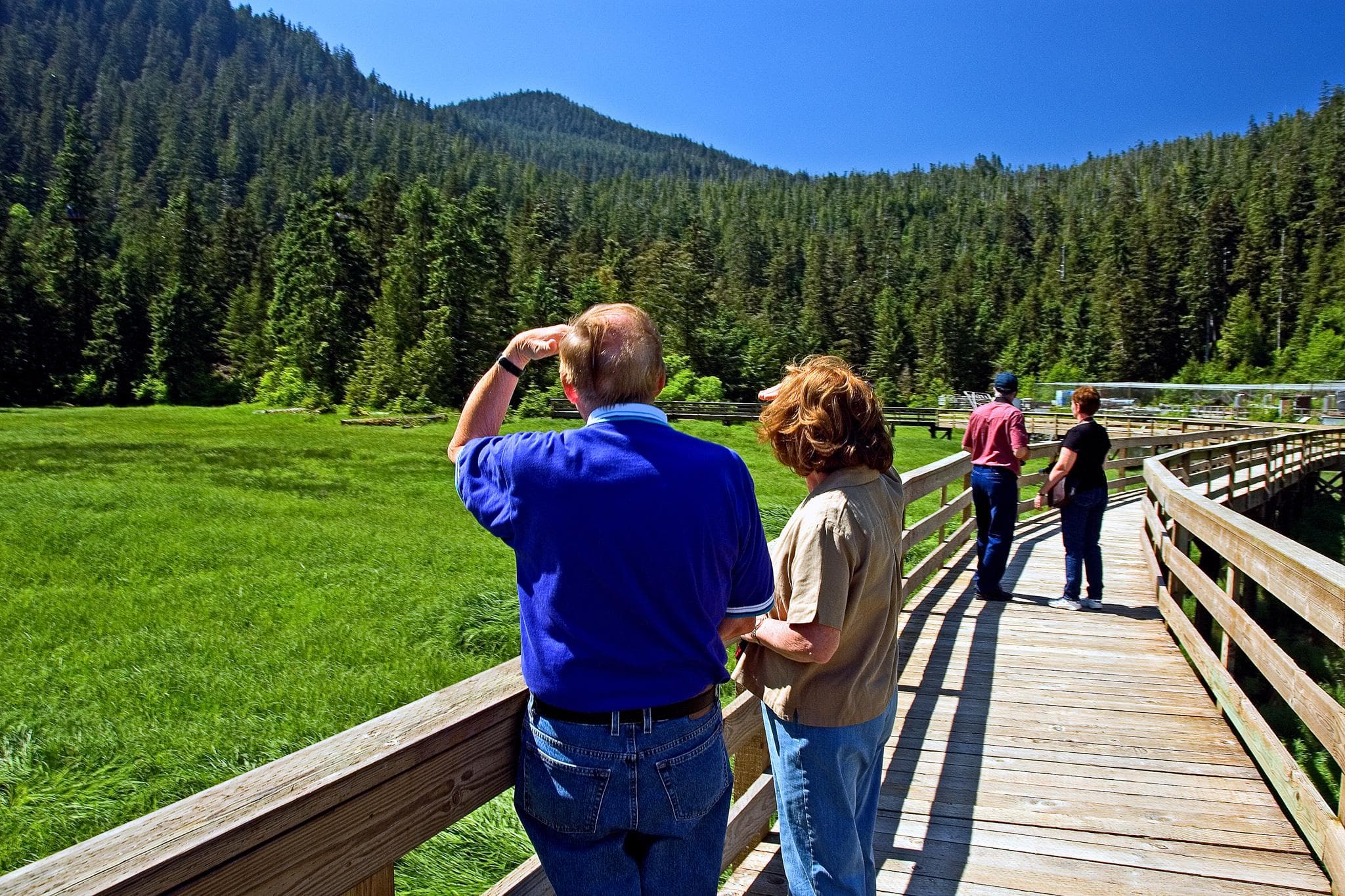 Visitors birdwatching from boardwalk in lush mountain meadow