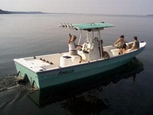 Water to Wine Tours fleet