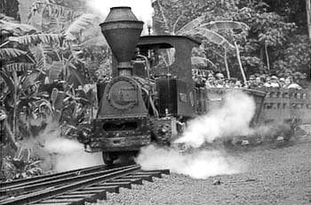 Historic steam locomotive crossing Kauai plantation tracks
