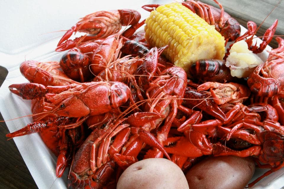 Boiled crawfish platter with corn and potatoes, Louisiana seafood boil