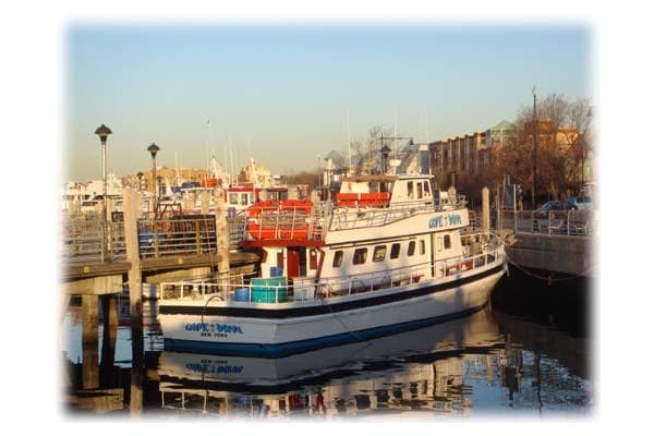 Charter fishing boats docked in a coastal harbor at sunrise