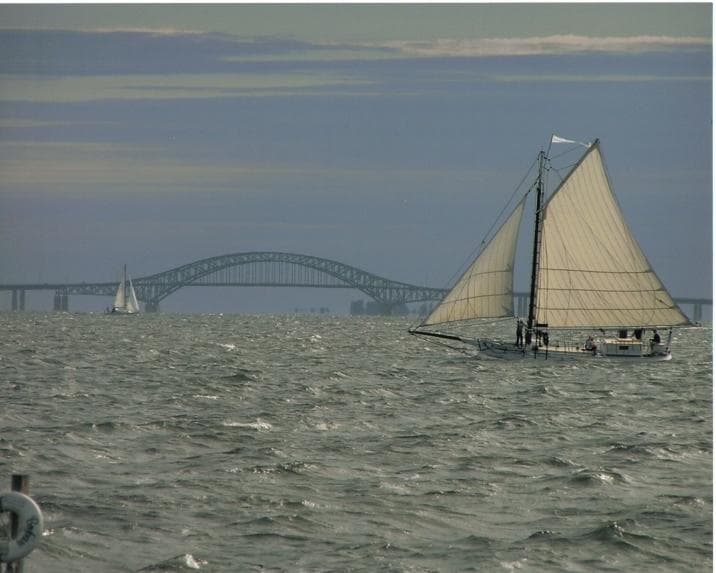 Golden Hour on the Water: 2026 Sunset Cruise