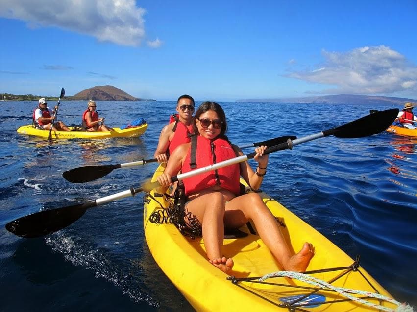 The Ultimate Maui Whale Watch: Paddle with Humpbacks and Hawaiian Green Turtles