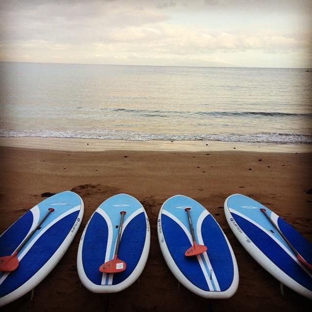Standup paddleboards lined on Maui beach at sunrise