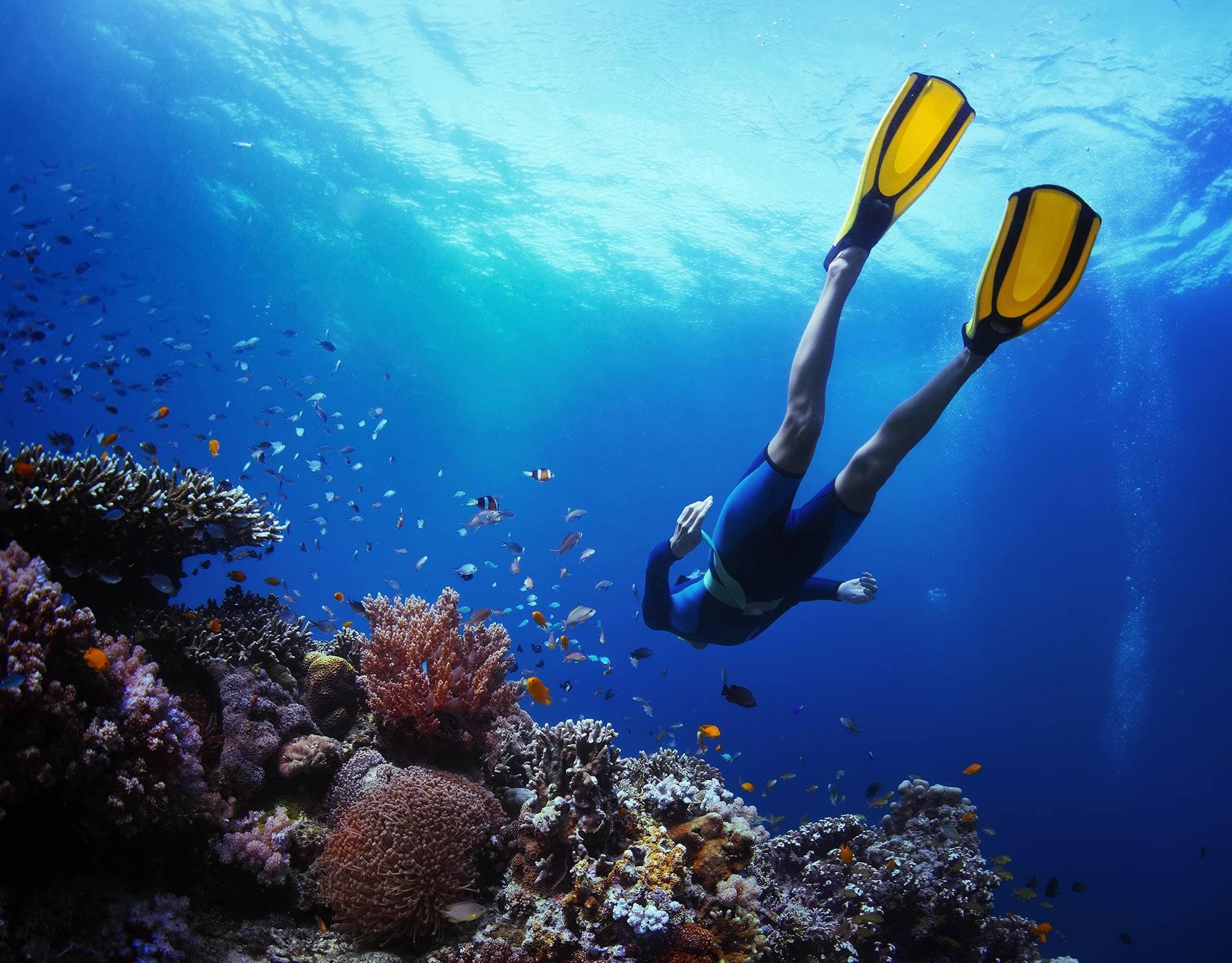 Learn to Scuba in La Parguera: Open Water Diver Course in Puerto Rico photo 1