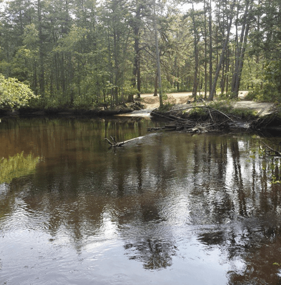 Mullica River Guided Canoe Tours in New Jersey