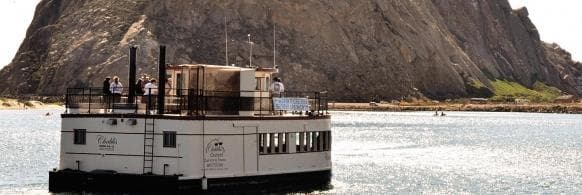 Brides and Brunch: Dockside Wedding Tastings and Harbor Mornings in Morro Bay