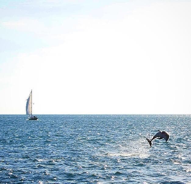 Key West Small Group Private Tours with Eat Drink Discover