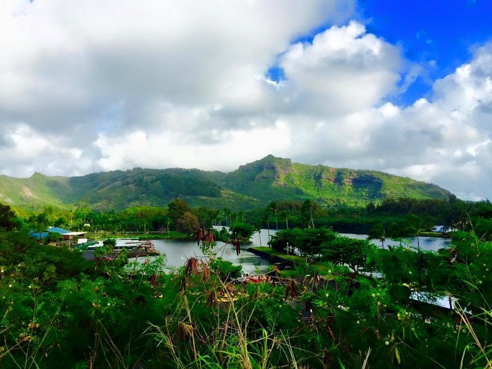 Explore Secret Falls Hiking Tour in Kapaʻa, Hawaii