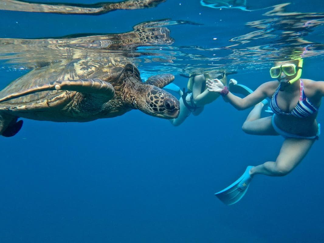 SUP Turtle Town Snorkel Adventure in Kihei, Maui