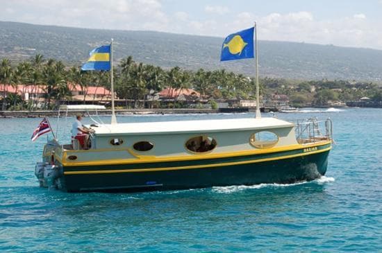 Small charter boat cruising coastal waters near tropical shore