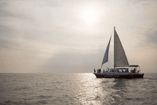 Sailboat silhouetted at sunset on open ocean, romantic sunset cruise